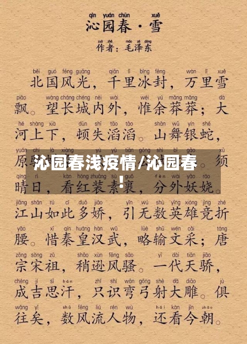 沁园春浅疫情/沁园春!-第2张图片