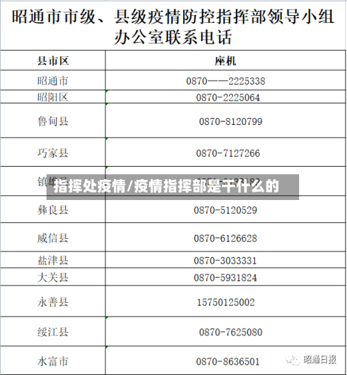 指挥处疫情/疫情指挥部是干什么的-第3张图片
