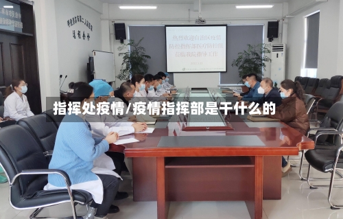 指挥处疫情/疫情指挥部是干什么的-第2张图片