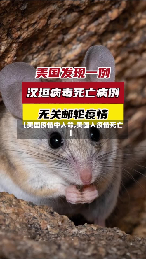 【美国疫情中人命,美国人疫情死亡】-第2张图片