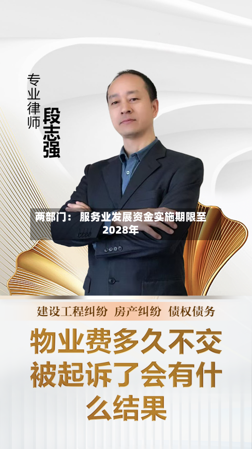 两部门： 服务业发展资金实施期限至2028年-第3张图片