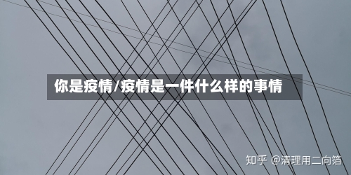 你是疫情/疫情是一件什么样的事情-第2张图片