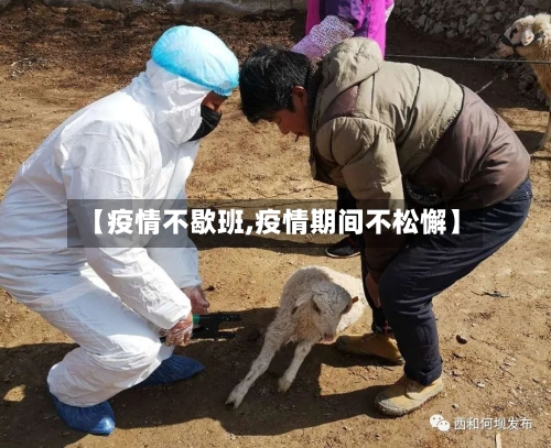 【疫情不歇班,疫情期间不松懈】-第2张图片