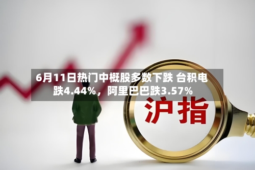 6月11日热门中概股多数下跌 台积电跌4.44%	，阿里巴巴跌3.57%-第3张图片