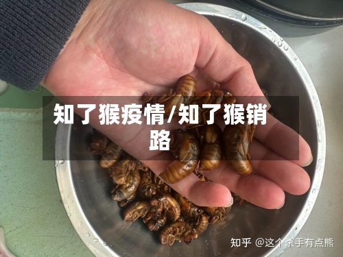 知了猴疫情/知了猴销路-第3张图片