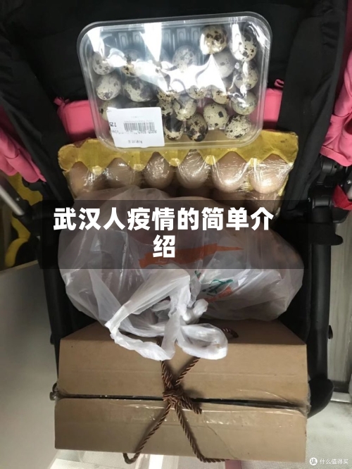 武汉人疫情的简单介绍-第2张图片