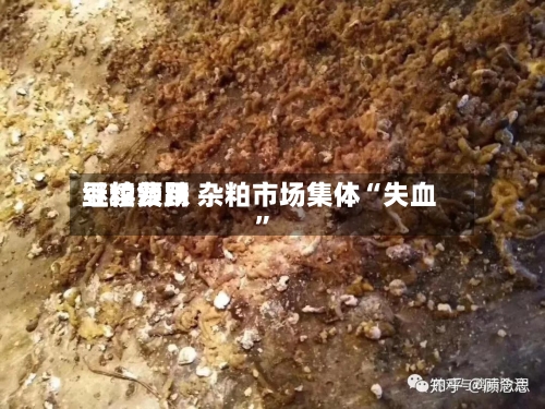 豆粕费用继续领跌 杂粕市场集体“失血”-第2张图片