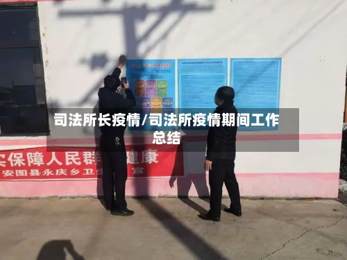 司法所长疫情/司法所疫情期间工作总结-第2张图片