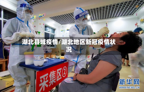 湖北县域疫情/湖北地区新冠疫情状况-第3张图片