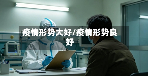 疫情形势大好/疫情形势良好