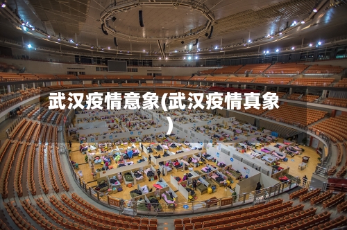 武汉疫情意象(武汉疫情真象)