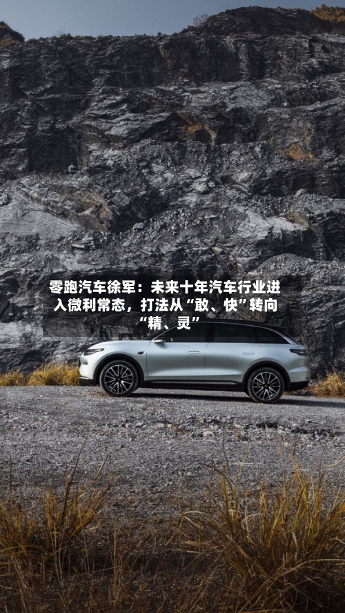 零跑汽车徐军：未来十年汽车行业进入微利常态	，打法从“敢、快”转向“精、灵”-第3张图片