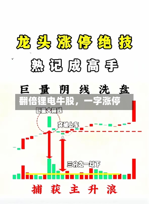 翻倍锂电牛股	，一字涨停-第2张图片