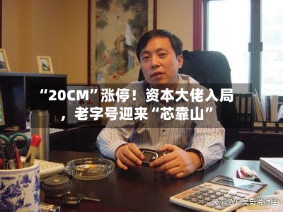 “20CM”涨停！资本大佬入局，老字号迎来“芯靠山	”-第2张图片