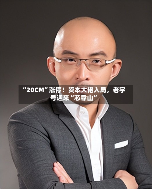 “20CM”涨停！资本大佬入局，老字号迎来“芯靠山”-第3张图片