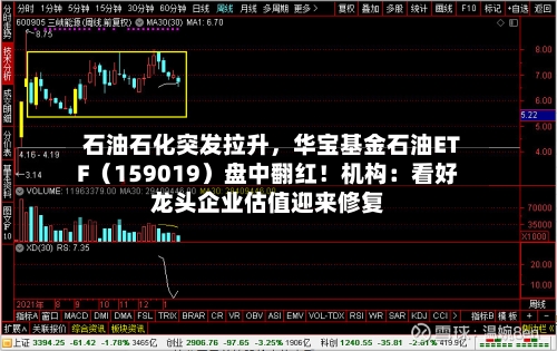 石油石化突发拉升	，华宝基金石油ETF（159019）盘中翻红！机构：看好龙头企业估值迎来修复-第2张图片