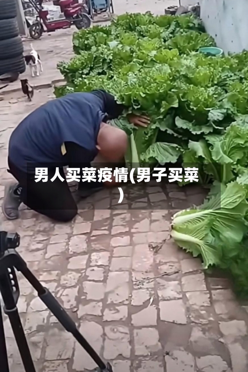 男人买菜疫情(男子买菜)-第2张图片