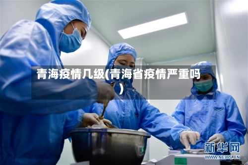 青海疫情几级(青海省疫情严重吗)-第2张图片
