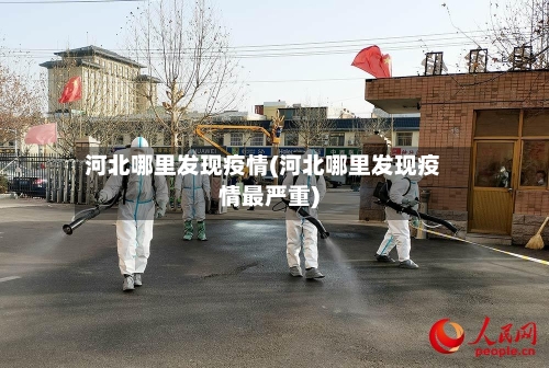 河北哪里发现疫情(河北哪里发现疫情最严重)-第2张图片