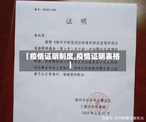 【疫情证明制度,疫情证明表格】-第2张图片