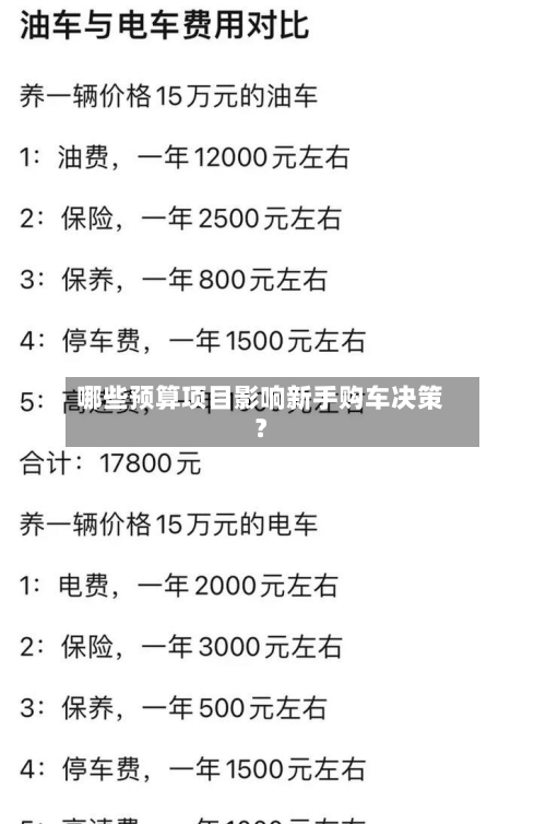 哪些预算项目影响新手购车决策?-第2张图片
