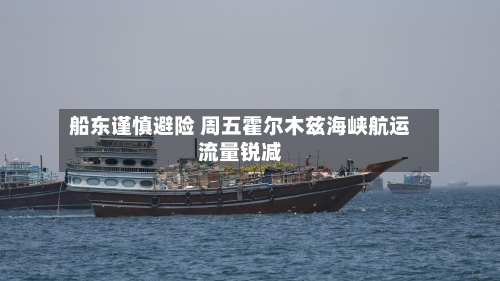 船东谨慎避险 周五霍尔木兹海峡航运流量锐减-第3张图片