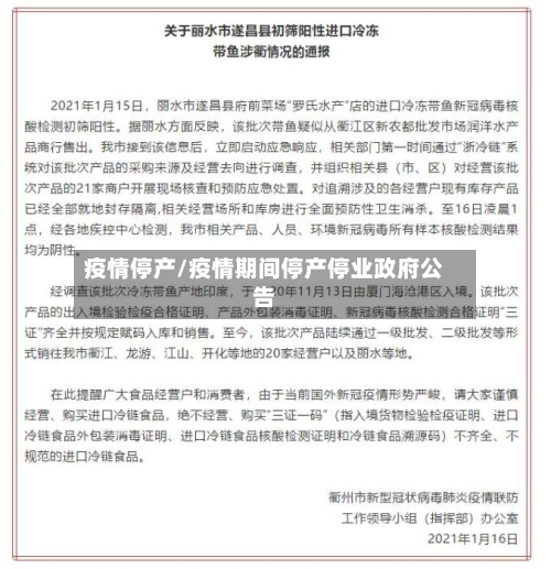 疫情停产/疫情期间停产停业政府公告-第2张图片