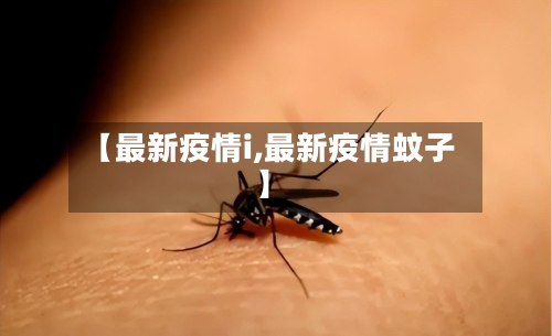 【最新疫情i,最新疫情蚊子】