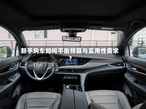 新手购车如何平衡预算与实用性需求？