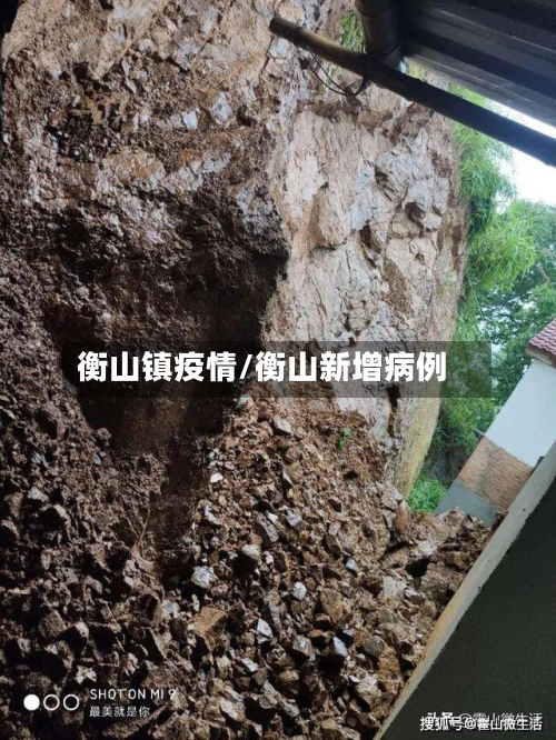 衡山镇疫情/衡山新增病例-第2张图片