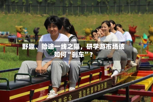 野趣	、险途一线之隔，研学游市场该如何“刹车”？-第2张图片
