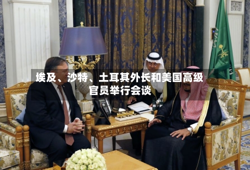 埃及、沙特	、土耳其外长和美国高级官员举行会谈-第2张图片