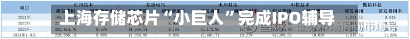 上海存储芯片“小巨人”完成IPO辅导-第2张图片