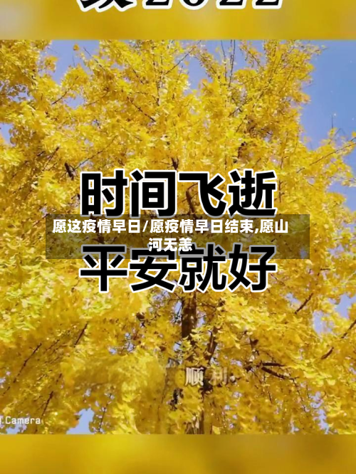 愿这疫情早日/愿疫情早日结束,愿山河无恙-第3张图片