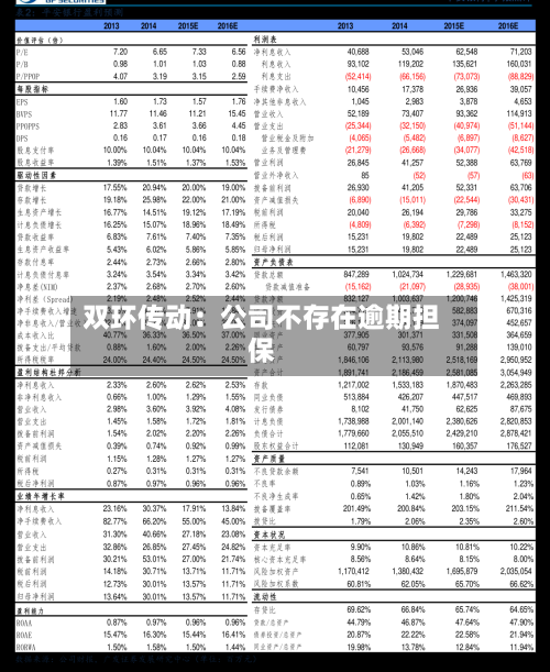 双环传动：公司不存在逾期担保