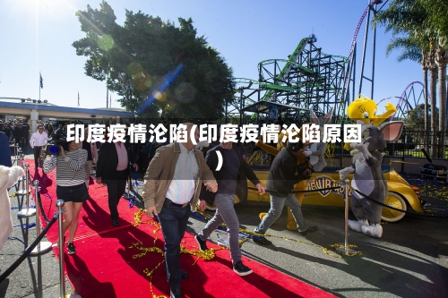 印度疫情沦陷(印度疫情沦陷原因)
