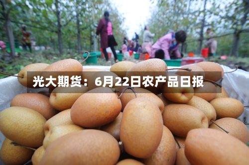 光大期货:6月22日农产品日报-第3张图片
