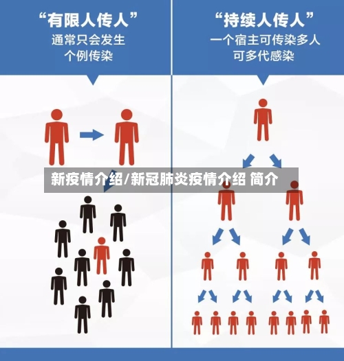 新疫情介绍/新冠肺炎疫情介绍 简介