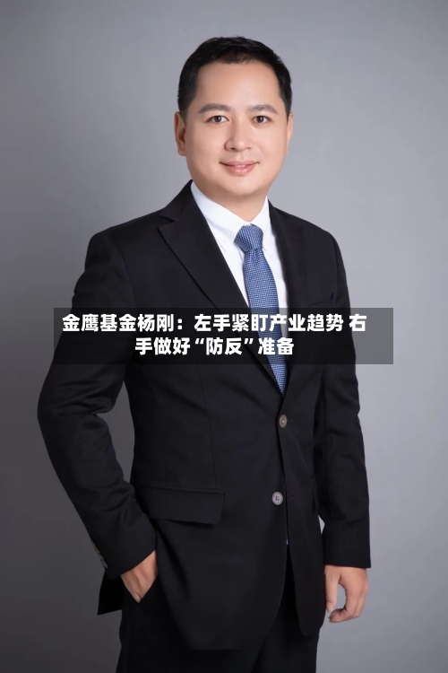 金鹰基金杨刚：左手紧盯产业趋势 右手做好“防反”准备-第3张图片