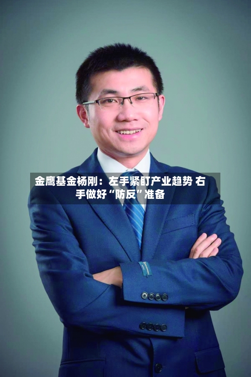 金鹰基金杨刚：左手紧盯产业趋势 右手做好“防反”准备-第2张图片