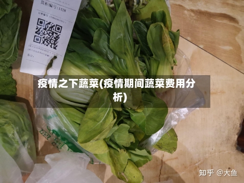 疫情之下蔬菜(疫情期间蔬菜费用分析)