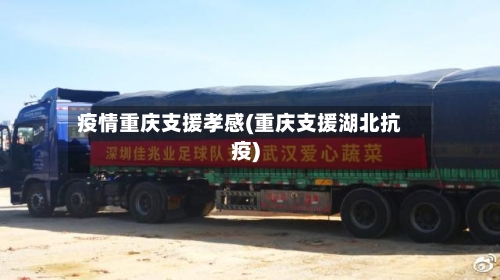 疫情重庆支援孝感(重庆支援湖北抗疫)