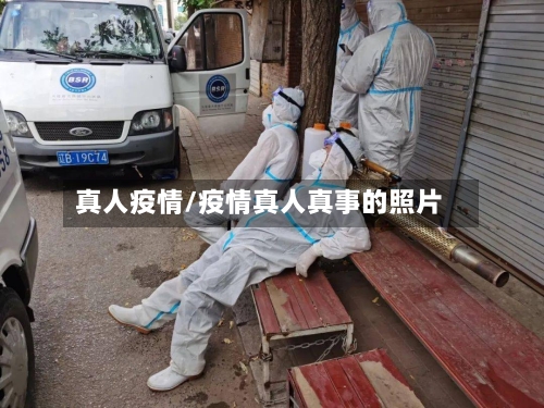 真人疫情/疫情真人真事的照片