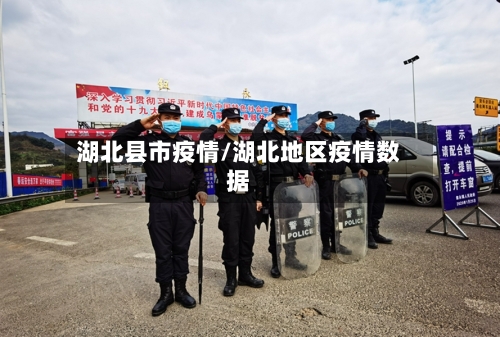 湖北县市疫情/湖北地区疫情数据