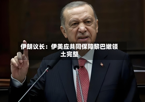 伊朗议长：伊美应共同保障黎巴嫩领土完整-第2张图片
