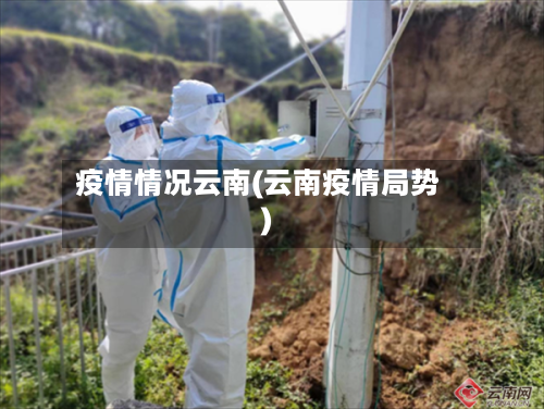 疫情情况云南(云南疫情局势)-第2张图片