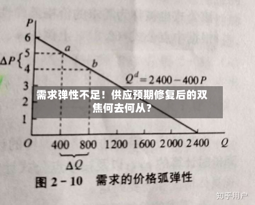 需求弹性不足！供应预期修复后的双焦何去何从？