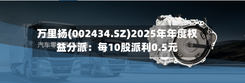 万里扬(002434.SZ)2025年年度权益分派：每10股派利0.5元-第2张图片