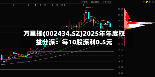 万里扬(002434.SZ)2025年年度权益分派：每10股派利0.5元