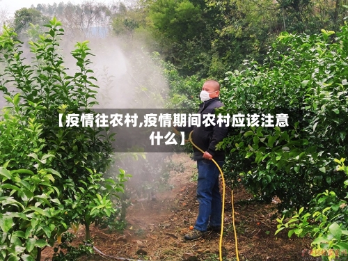 【疫情往农村,疫情期间农村应该注意什么】-第2张图片